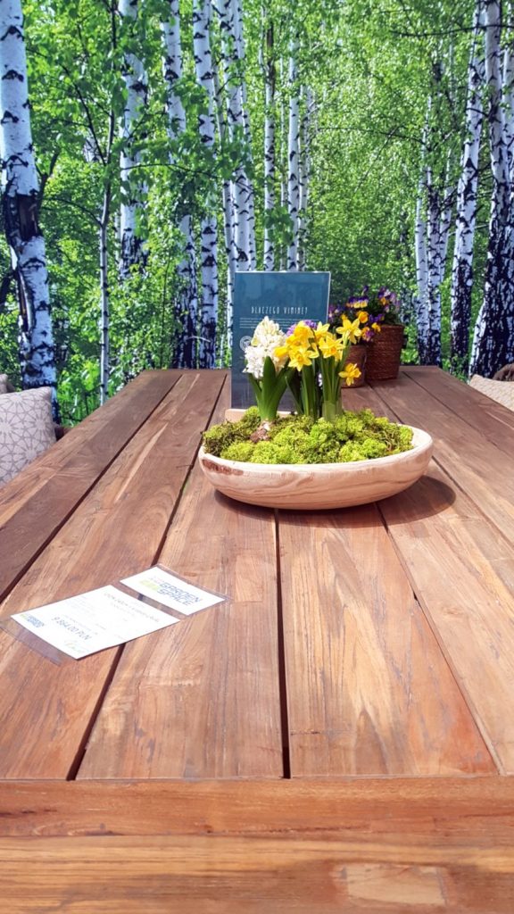 Targi Green Days, meble ogrodowe, meble z rattanu, Garden Space, drewniany stół, drewniana misa z żonkilami i mchem na stole, w tle tapeta z brzozowym lasem