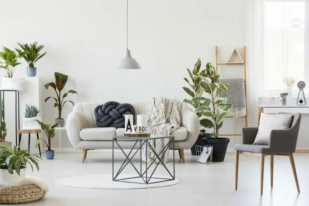 Przemysłowy stolik kawowy pośrodku skandynawskiego wnętrza salonu z białą sofą, szarym krzesłem, dużą iloscią roślin doniczkowych