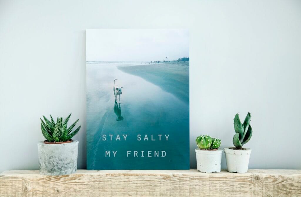 Dekoracje do salonu_plakat z napisem 1200_machinasnu.pl Dekoracje do salonu, na półce z drewnianej belki stoją doniczki z kaktusami, na środku stoi plakat z widokiem na plażę, plakat w tonacji niebieskiej, na plakacie plaża, samotny piec i napis Stay Salty My Friend